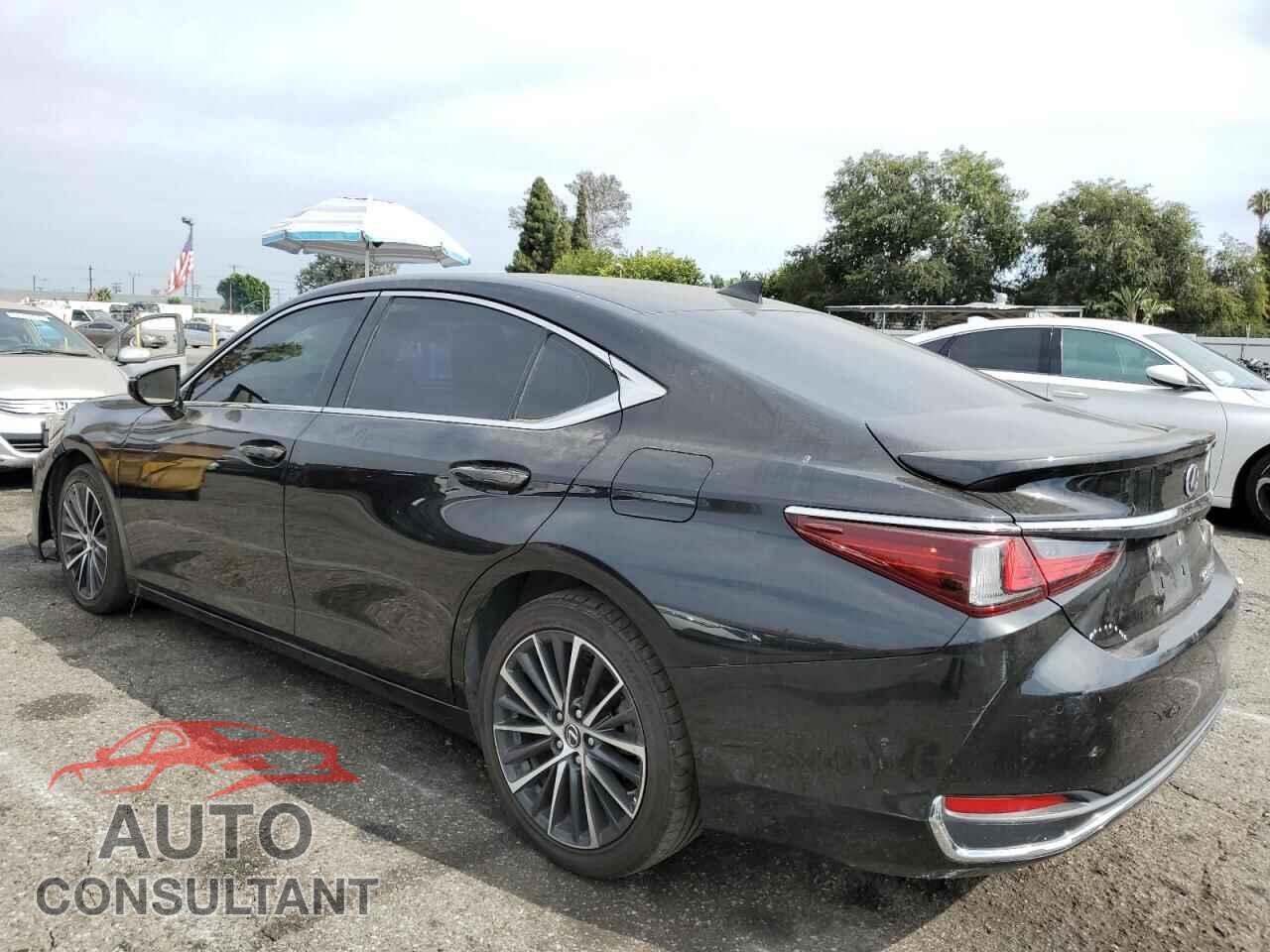 LEXUS ES300 2022 - 58ADA1C12NU017931
