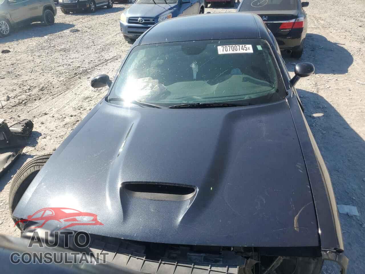 DODGE CHALLENGER 2019 - 2C3CDZBT7KH642067
