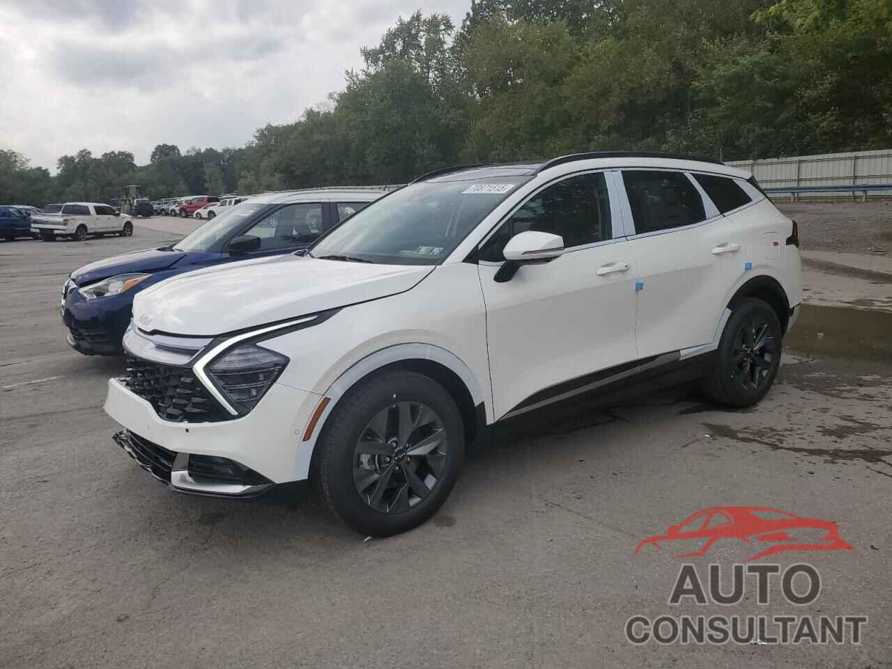 KIA SPORTAGE 2025 - KNDPXCDG1S7252630