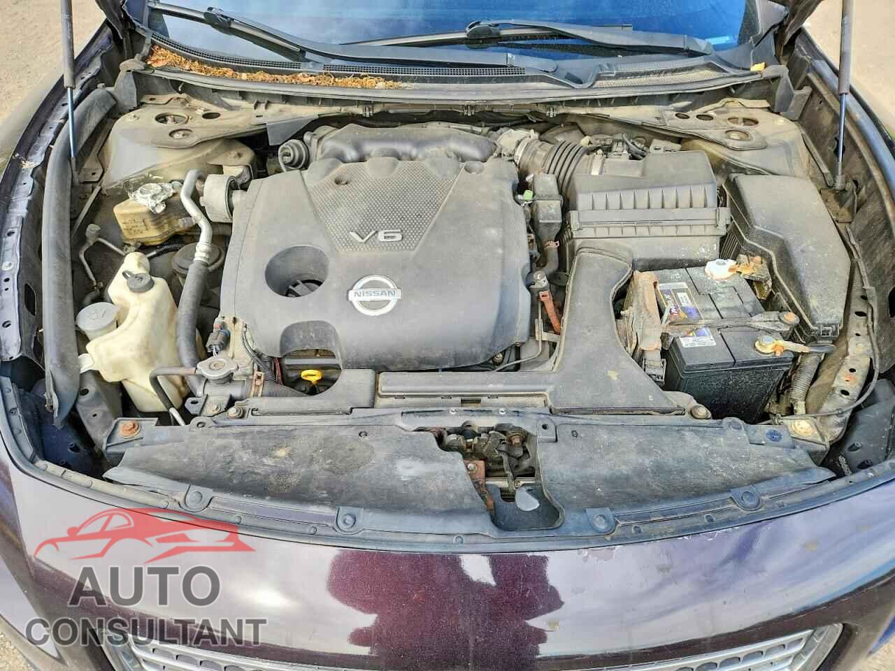 NISSAN MAXIMA 2010 - 1N4AA5AP0AC832387