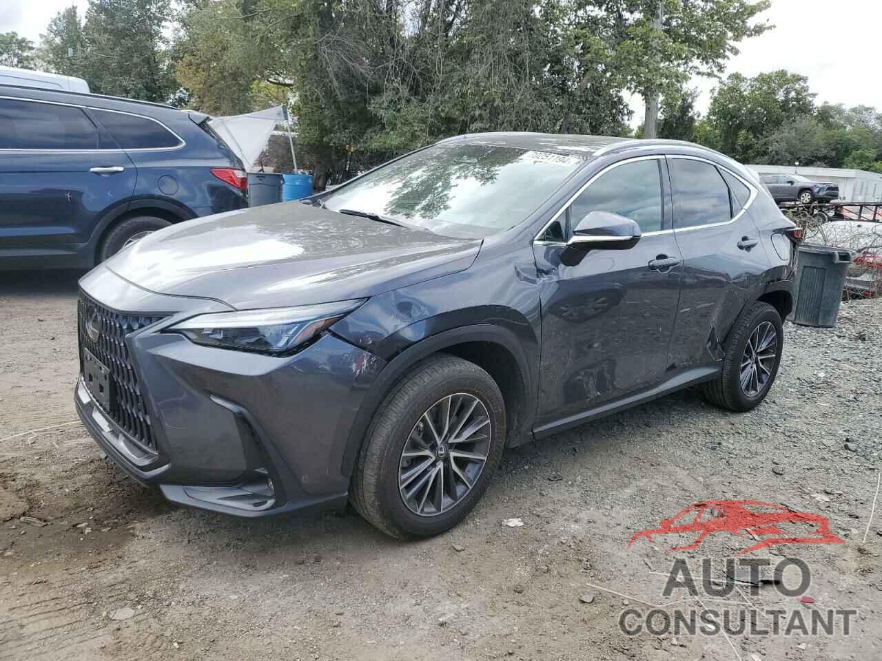LEXUS NX 250 2022 - 2T2GDCAZ9NC002873