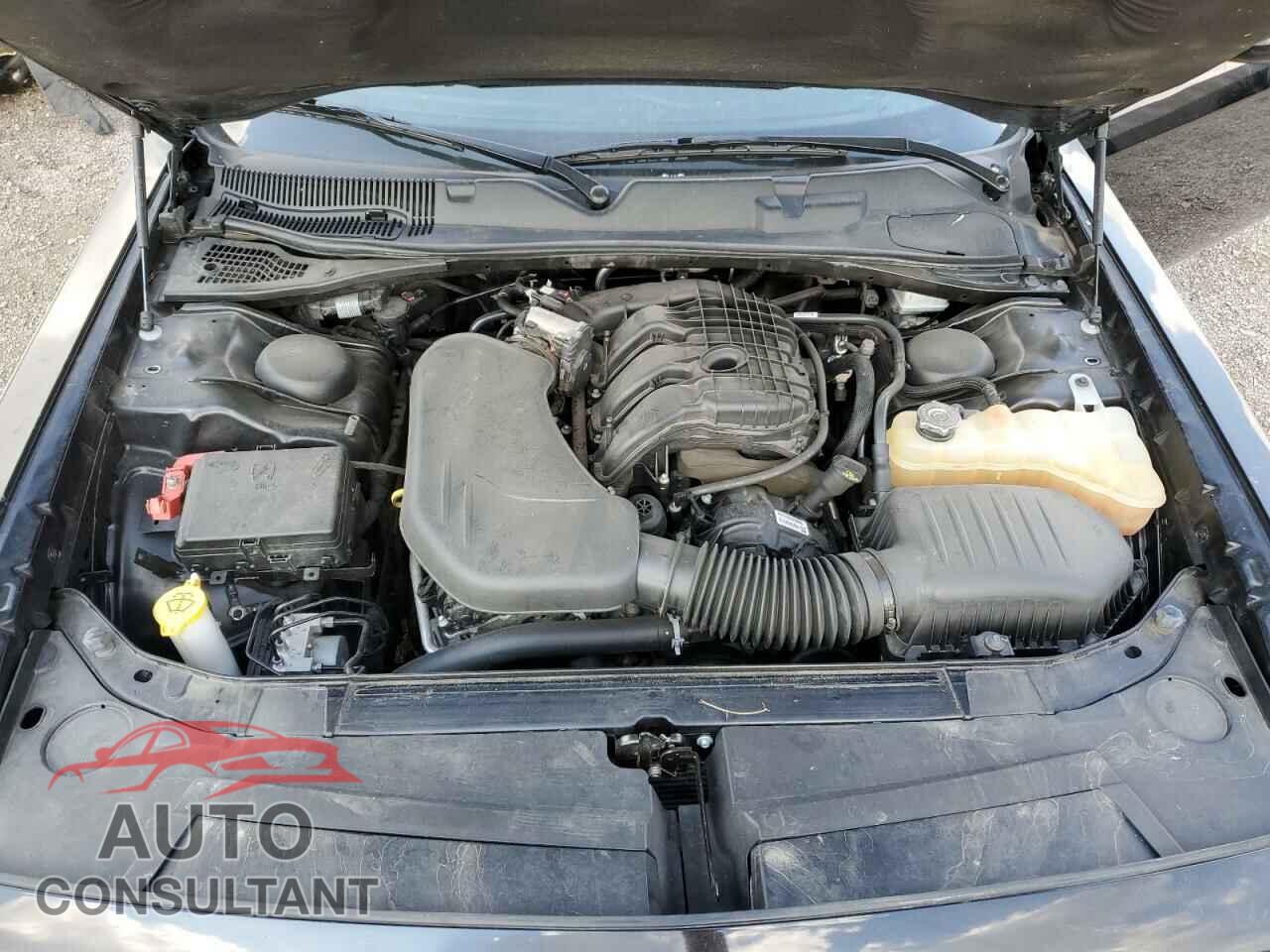 DODGE CHALLENGER 2019 - 2C3CDZAG8KH566735