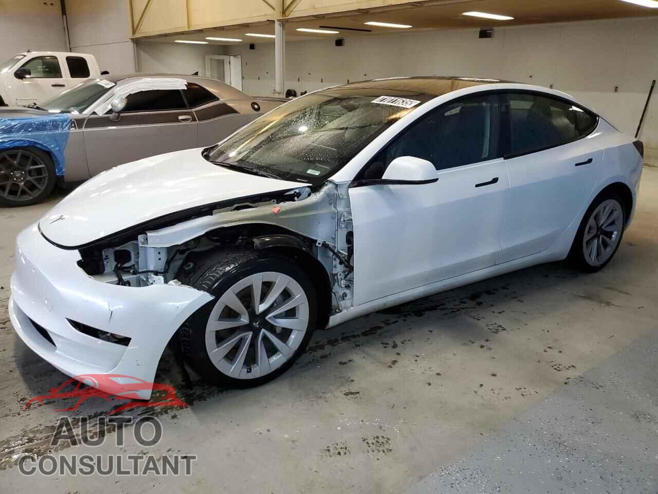 TESLA MODEL 3 2023 - 5YJ3E1EA1PF448801