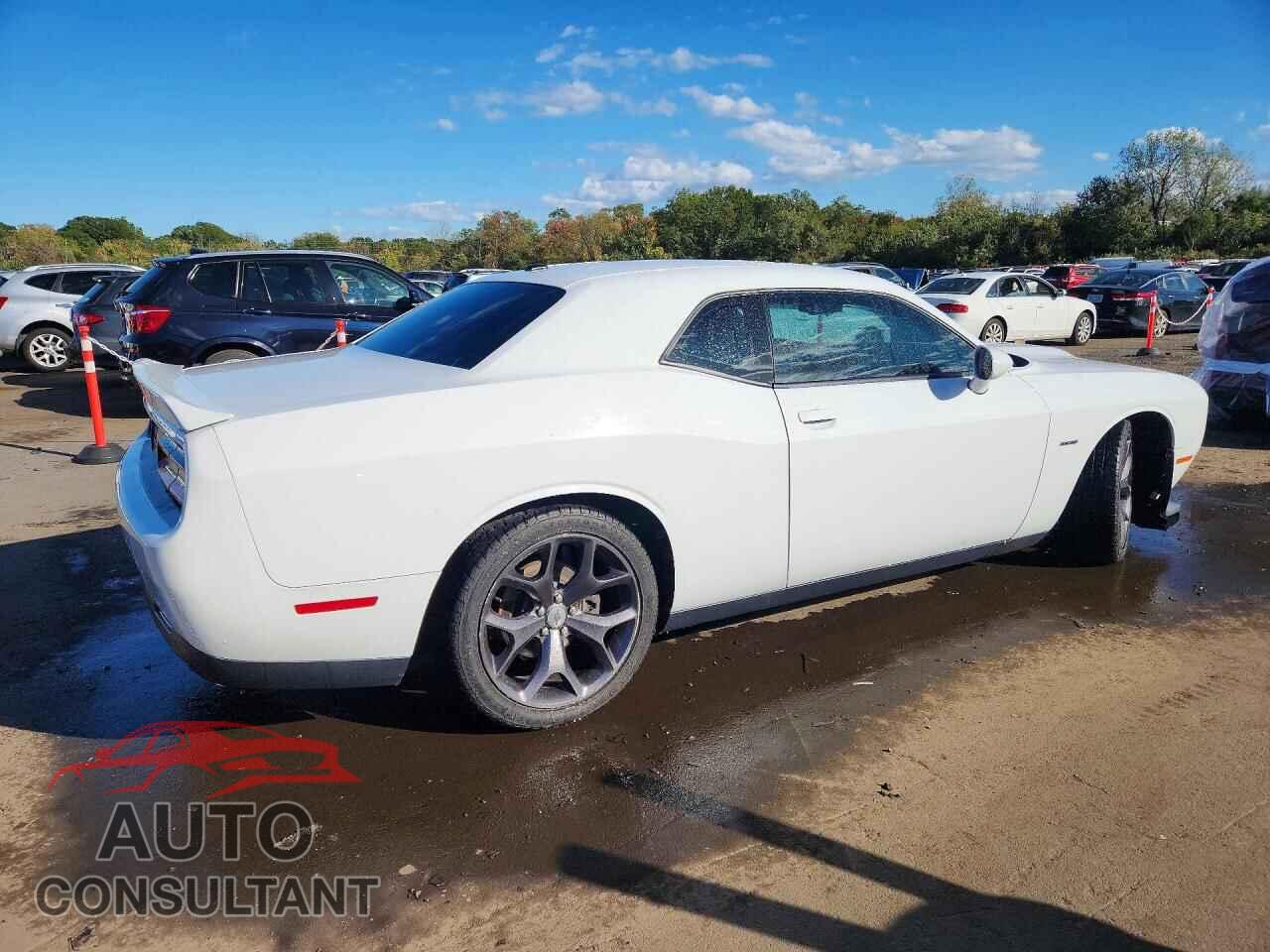 DODGE CHALLENGER 2019 - 2C3CDZBT0KH617091