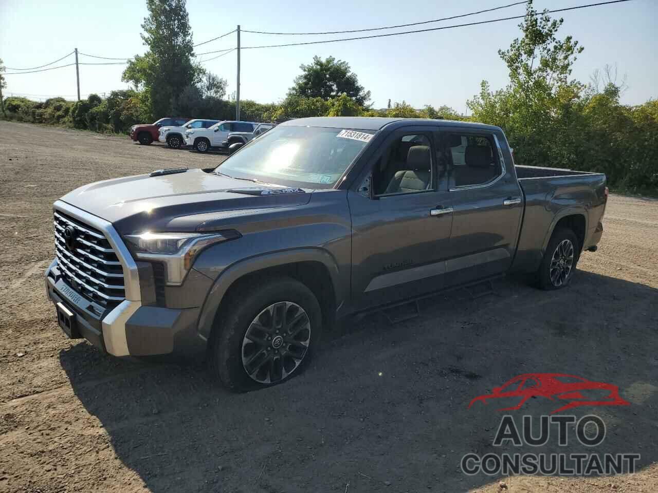 TOYOTA TUNDRA 2022 - 5TFJC5EC3NX001329