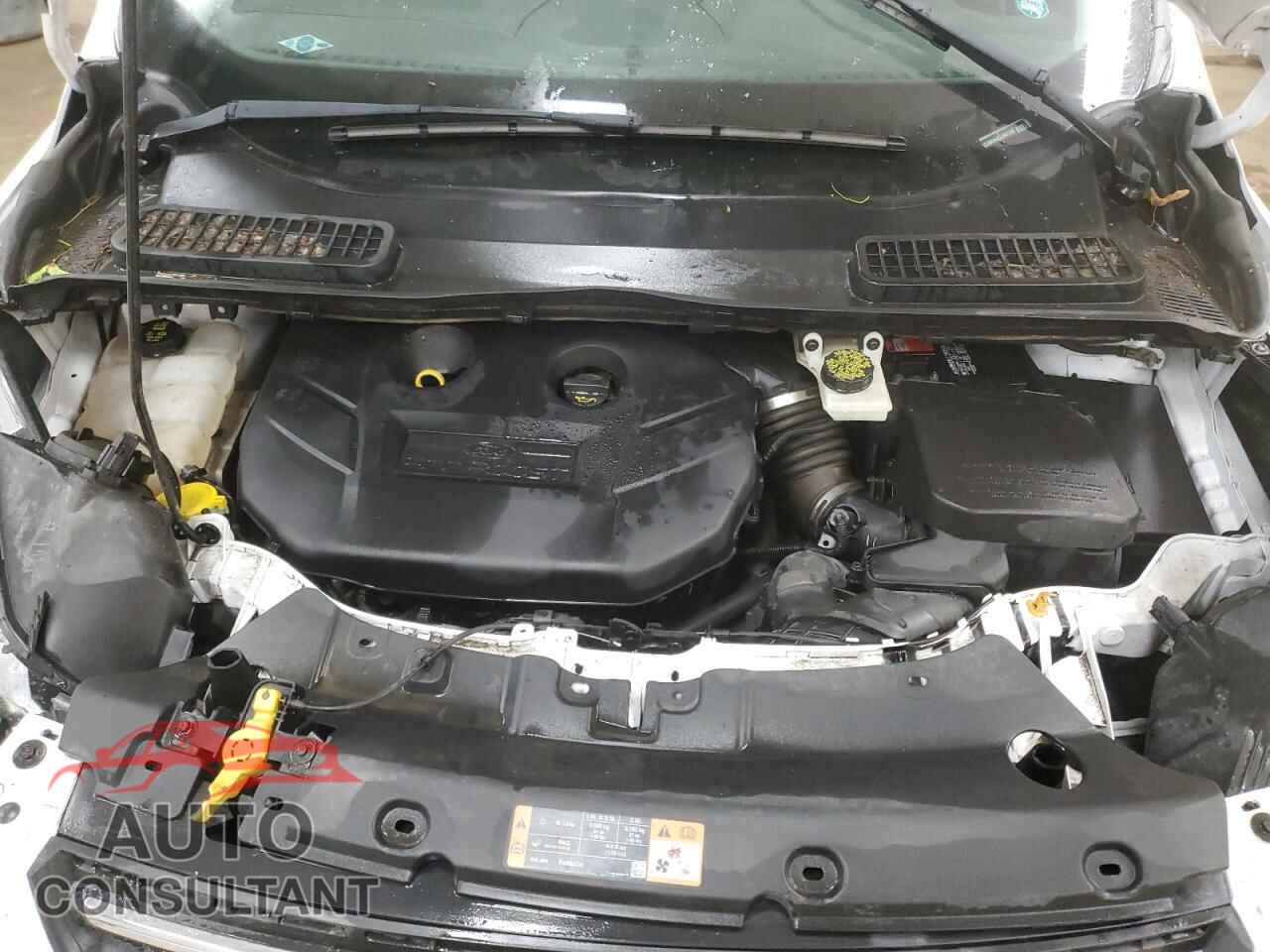 FORD ESCAPE 2014 - 1FMCU9G94EUB97308