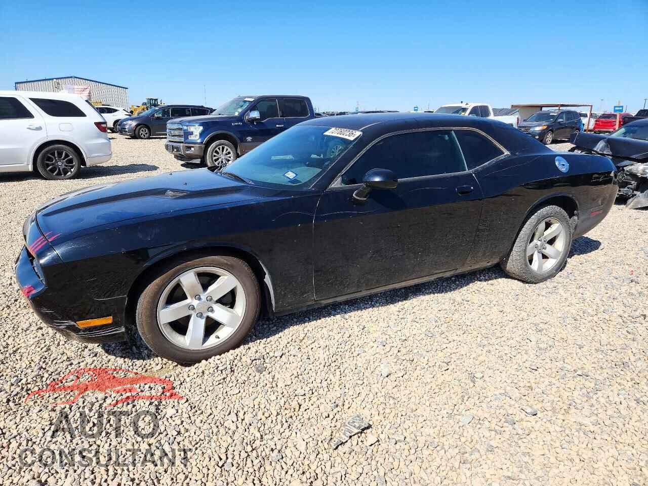 DODGE CHALLENGER 2013 - 2C3CDYAG7DH519645