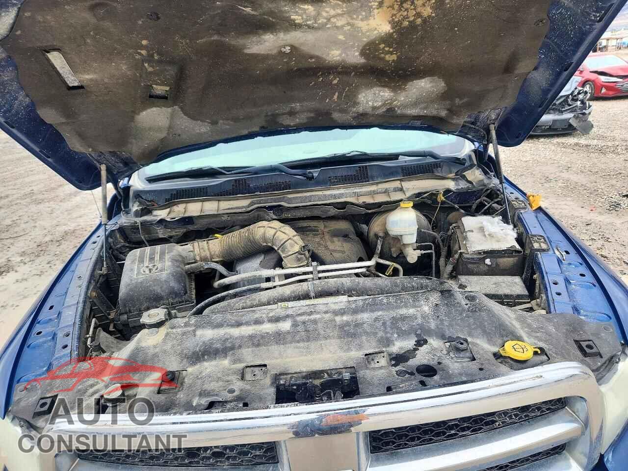 DODGE RAM 1500 2011 - 1D7RV1GT5BS625120