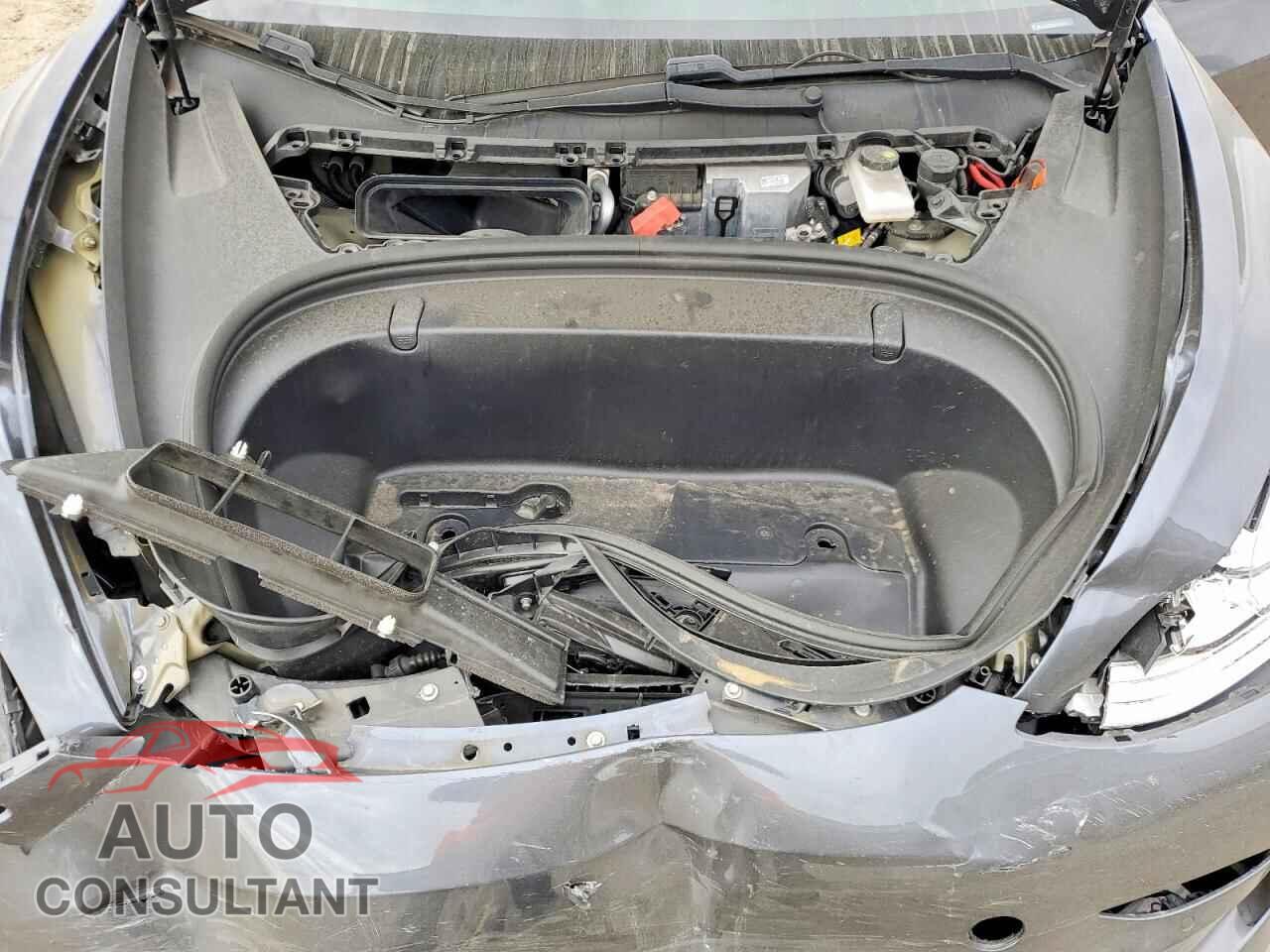 TESLA MODEL 3 2019 - 5YJ3E1EA8KF537015