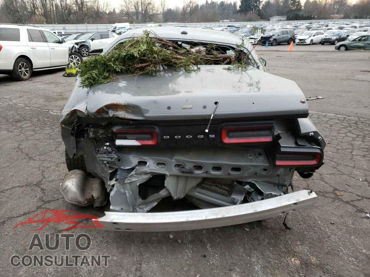DODGE CHALLENGER 2019 - 2C3CDZAG3KH723555