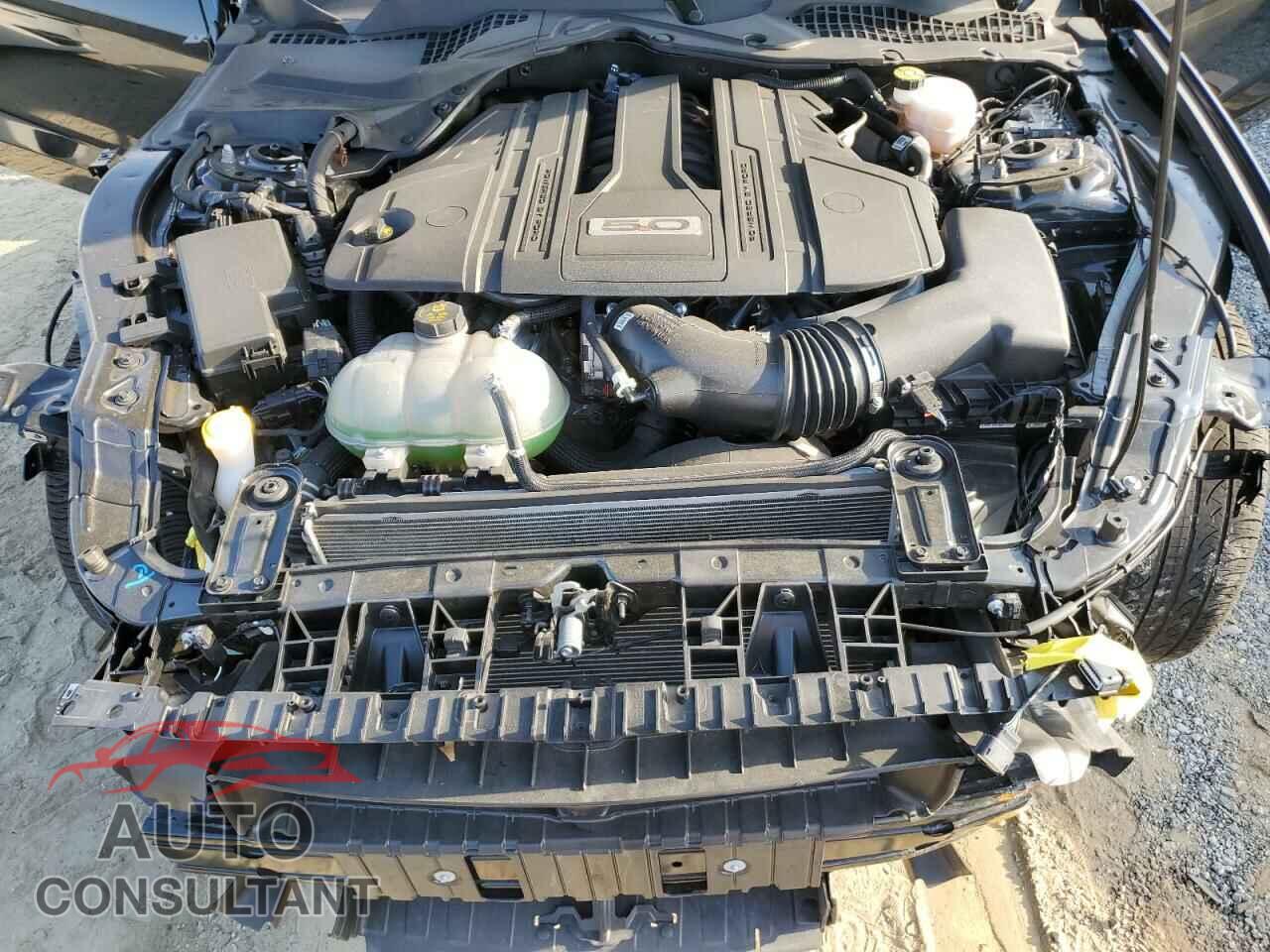 FORD MUSTANG 2021 - 1FA6P8CF1M5144482