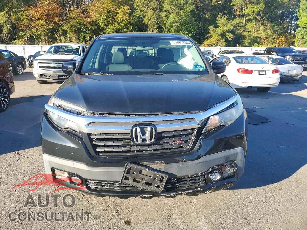 HONDA RIDGELINE 2019 - 5FPYK3F16KB047334