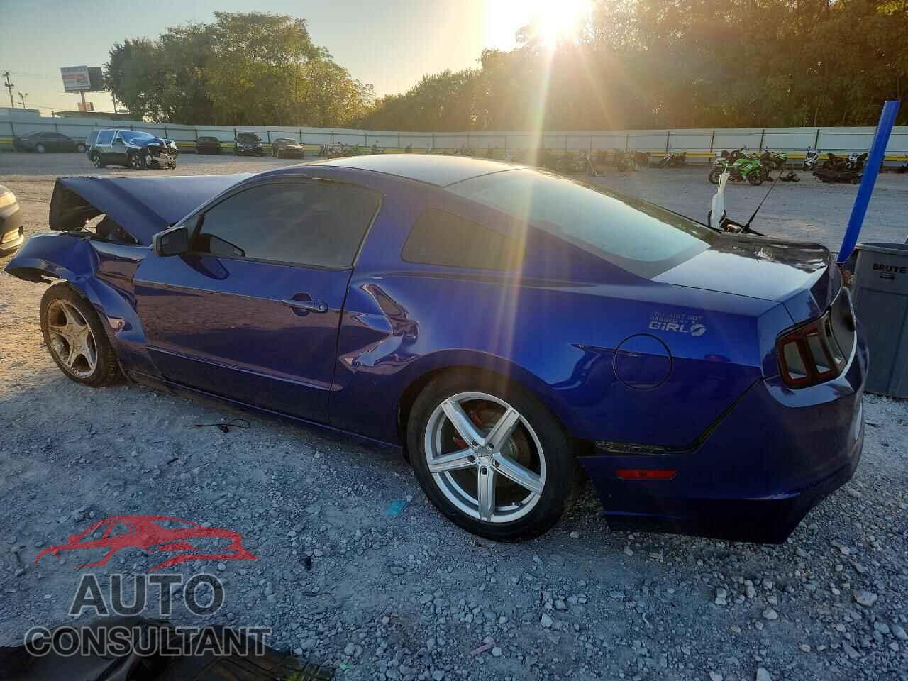 FORD MUSTANG 2014 - 1ZVBP8AM2E5257012