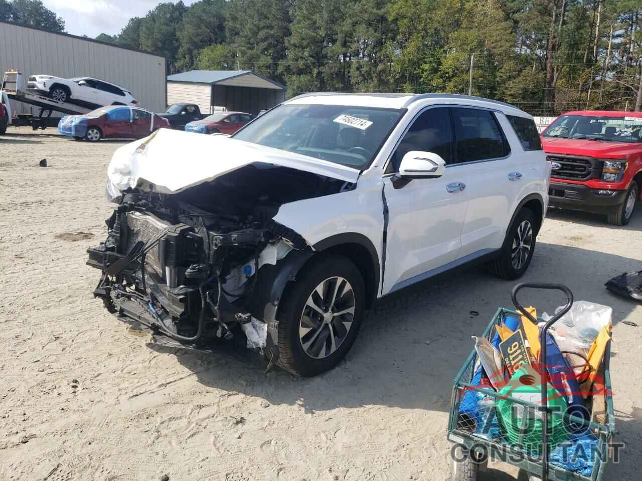 HYUNDAI PALISADE 2021 - KM8R2DHE0MU254374