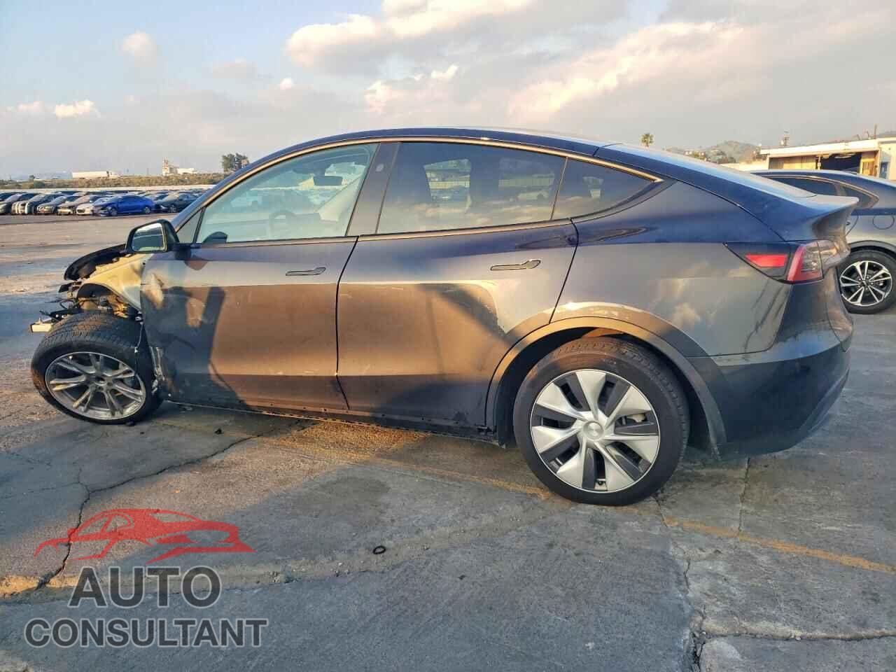 TESLA MODEL Y 2024 - 7SAYGDED0RF047452