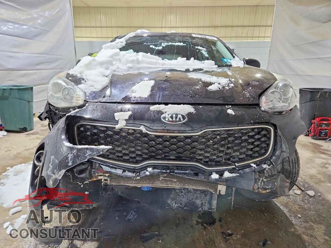KIA SPORTAGE 2017 - KNDPMCAC2H7246306
