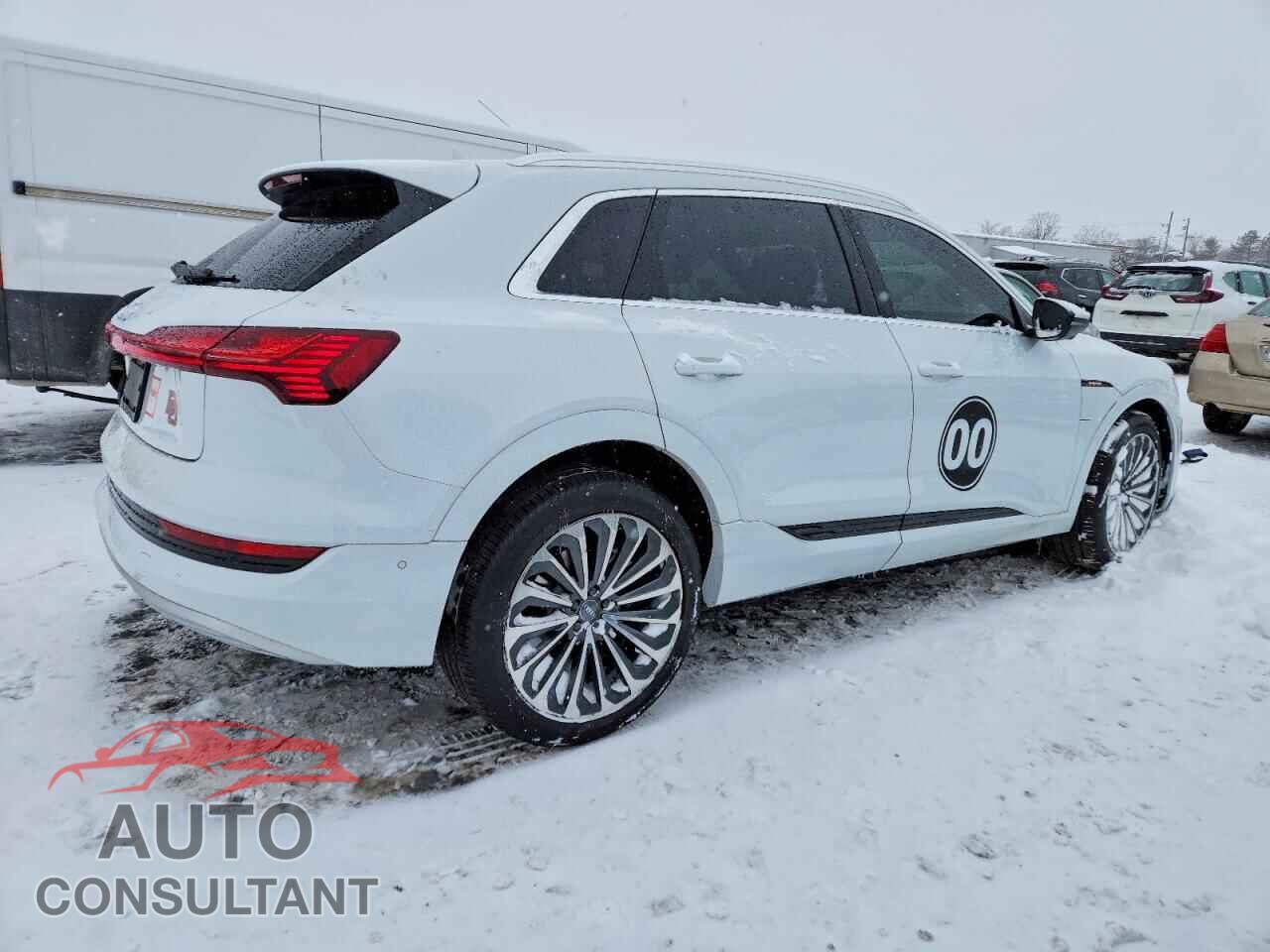 AUDI E-TRON 2019 - WA1VABGE4KB013254
