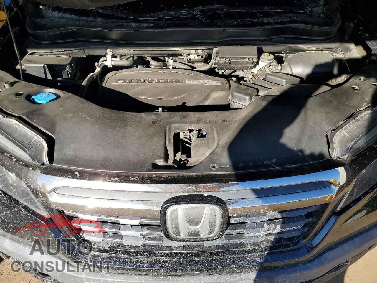 HONDA RIDGELINE 2019 - 5FPYK3F89KB020996