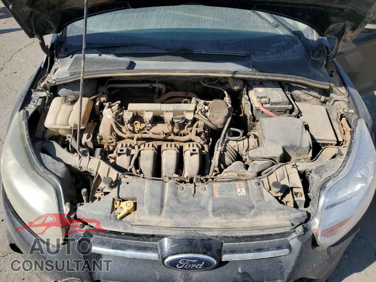 FORD FOCUS 2014 - 1FADP3J26EL293607