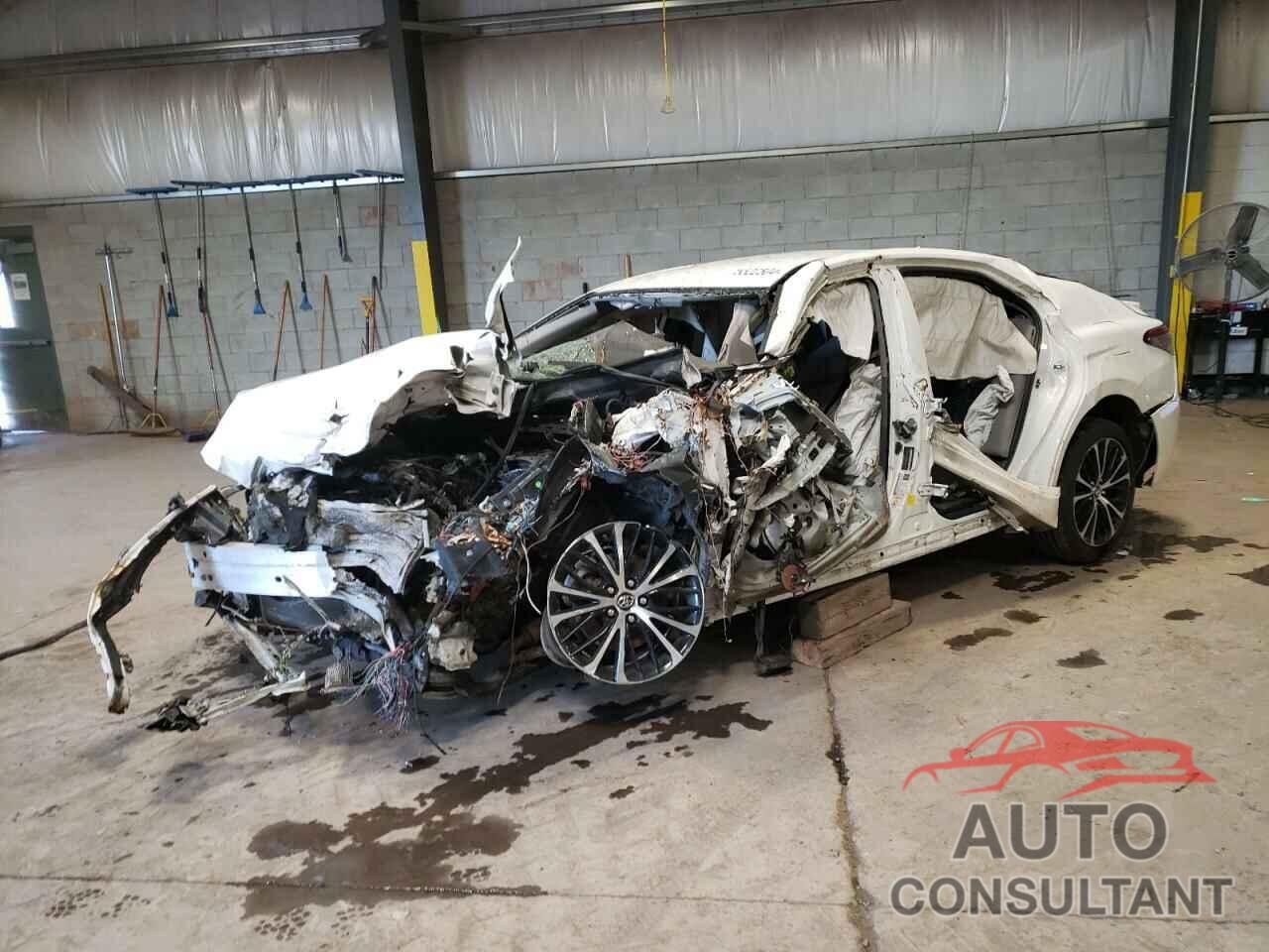 TOYOTA CAMRY 2019 - 4T1B11HKXKU754581