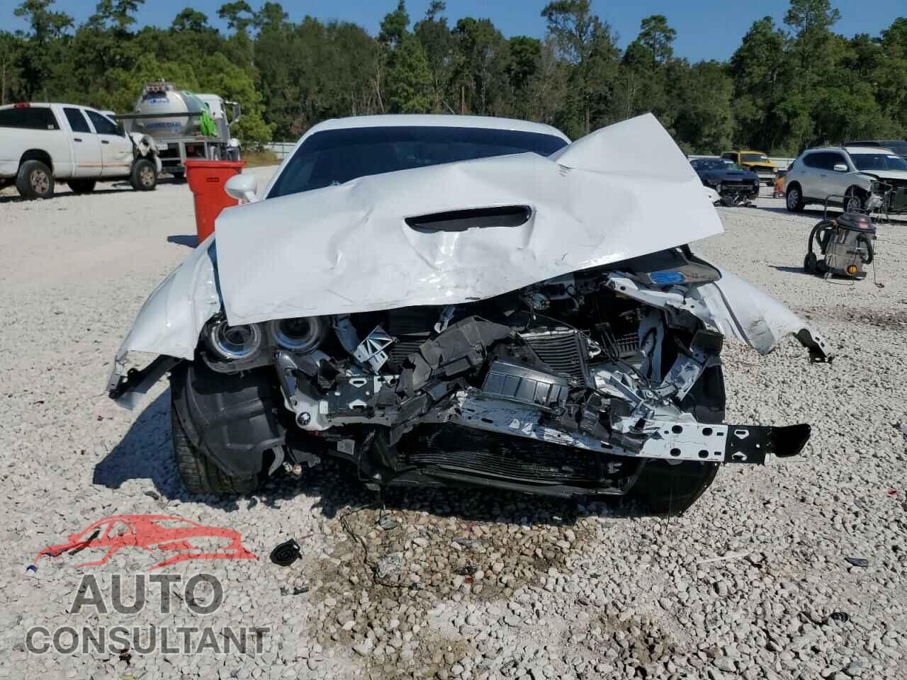 DODGE CHALLENGER 2023 - 2C3CDZBT5PH634380