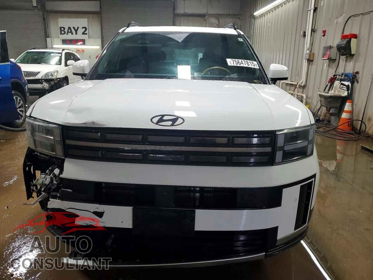 HYUNDAI SANTA FE 2024 - 5NMP4DGL2RH058912