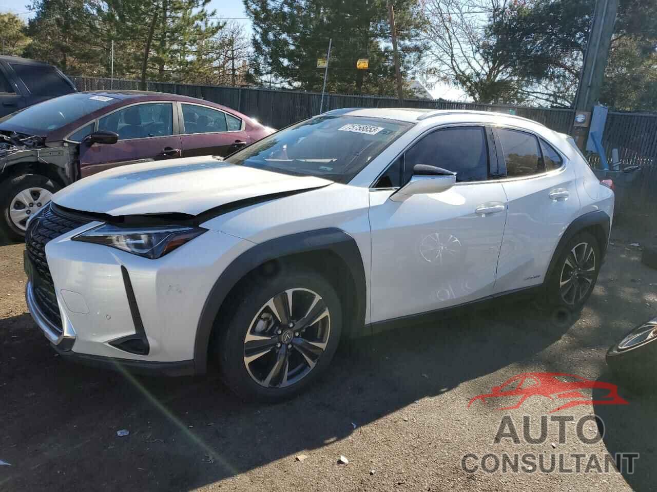 LEXUS UX 250H 2020 - JTHP9JBHXL2021104