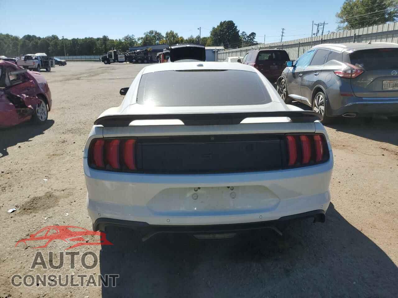 FORD MUSTANG 2019 - 1FA6P8CF2K5202015