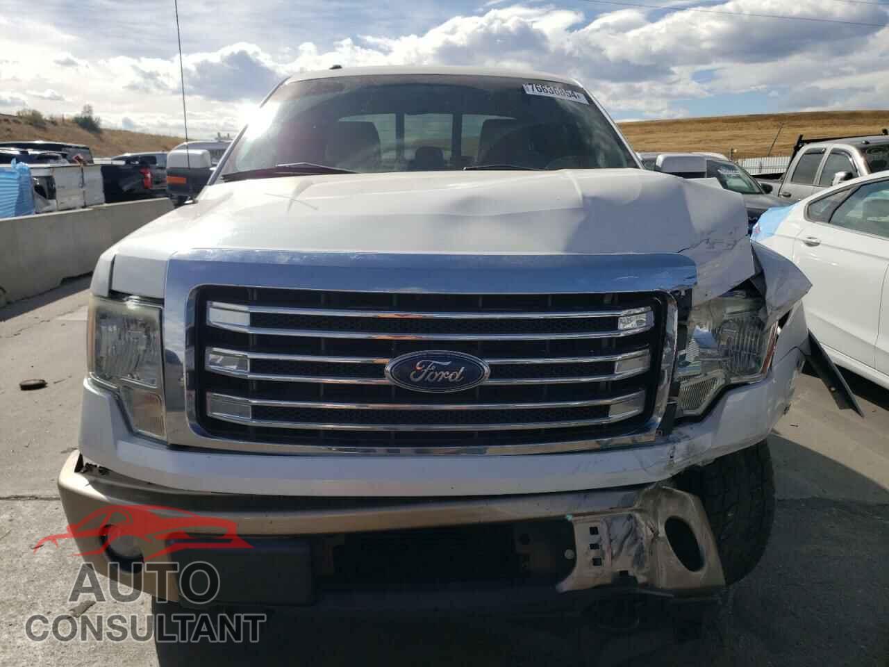 FORD F-150 2013 - 1FTFX1ET0DFB10077