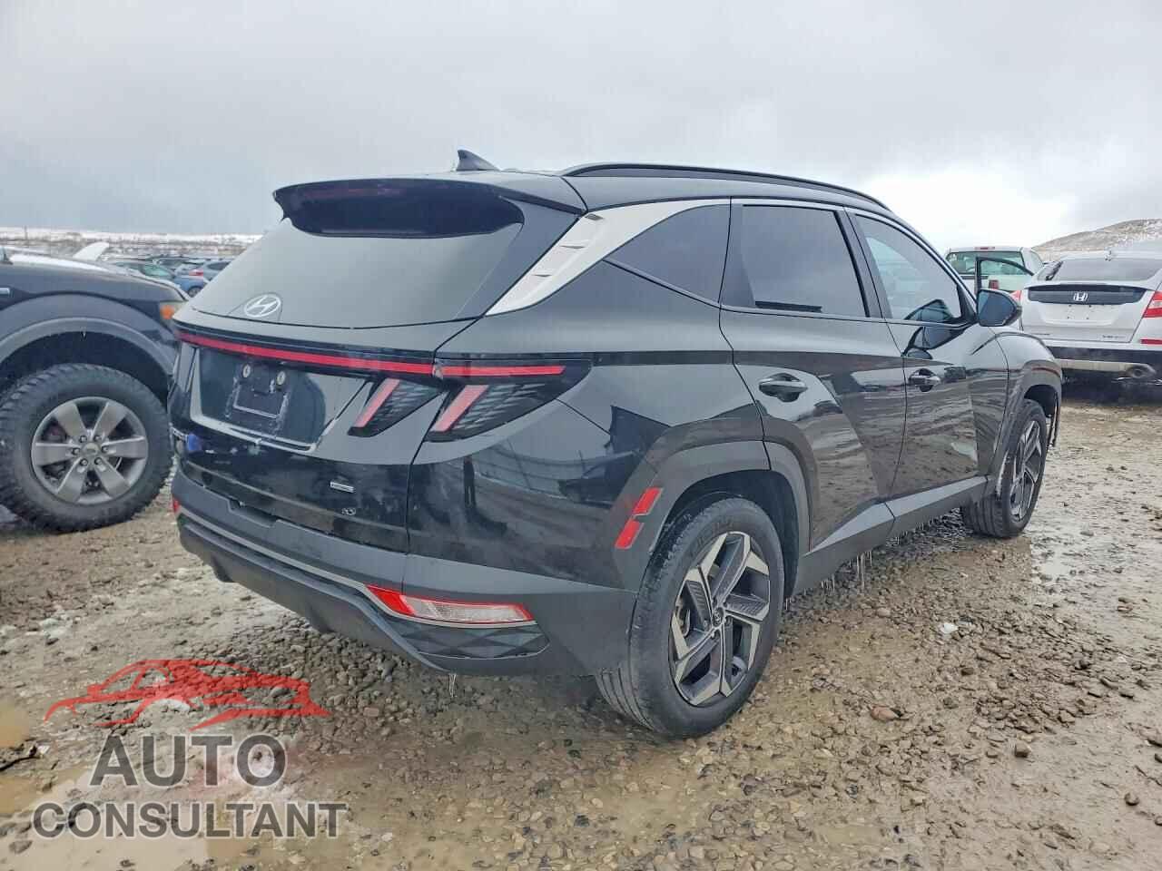 HYUNDAI TUCSON 2023 - KM8JFCA10PU106247