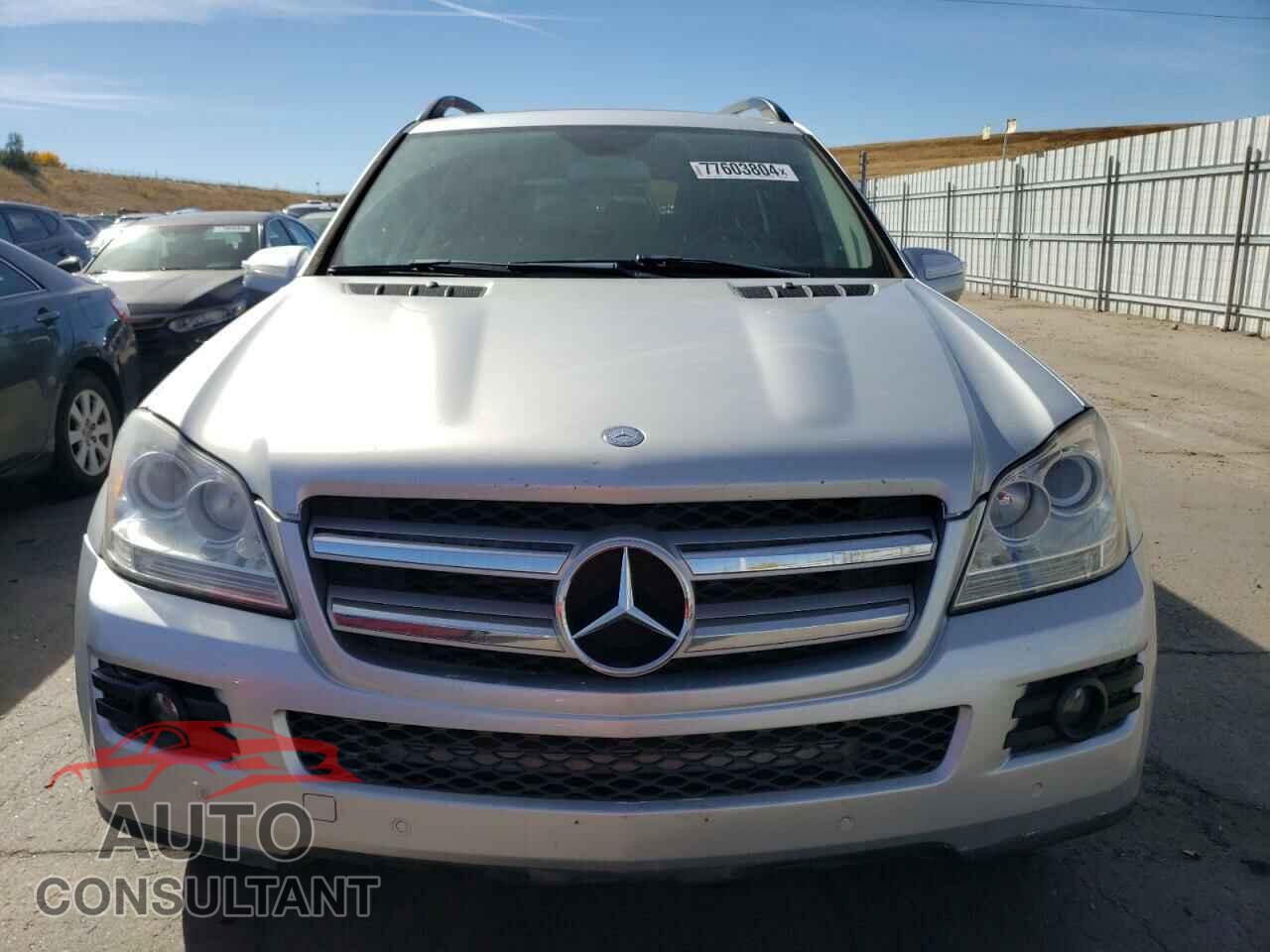 MERCEDES-BENZ GL-CLASS 2009 - 4JGBF25E59A511665