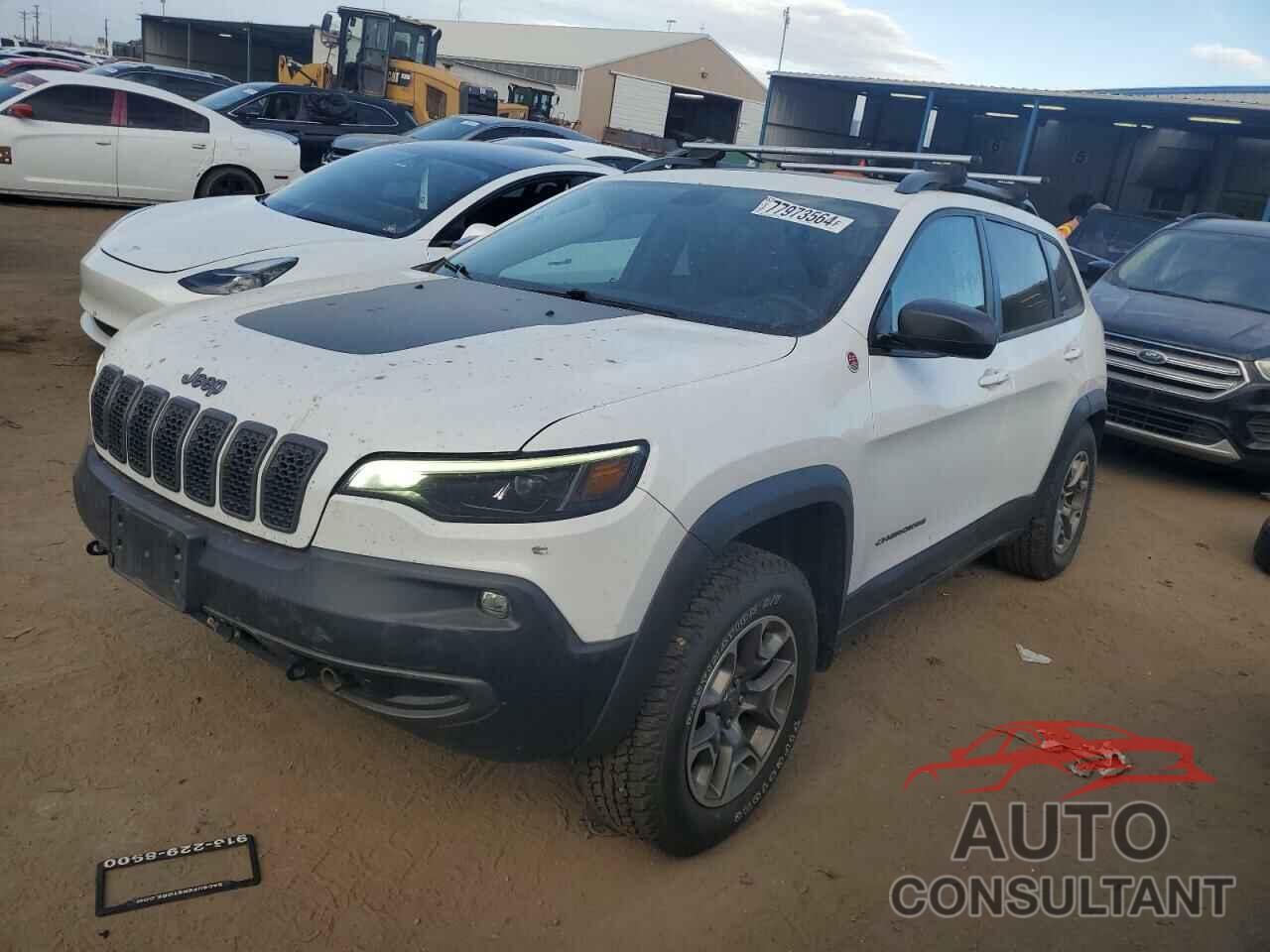 JEEP CHEROKEE 2020 - 1C4PJMBXXLD523083