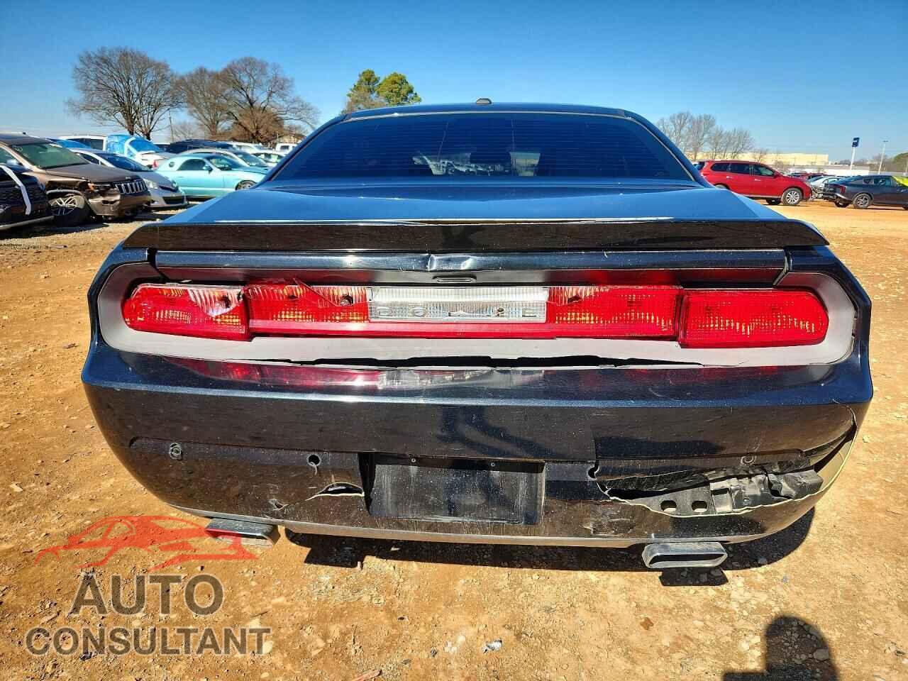 DODGE CHALLENGER 2013 - 2C3CDYAG0DH681875