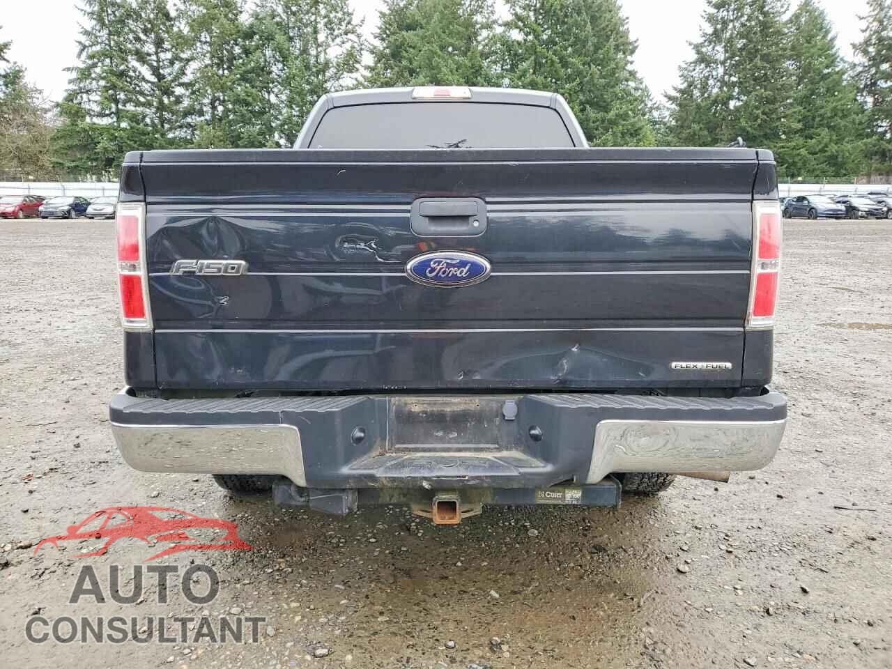 FORD F-150 2012 - 1FTFX1CF4CFC41590