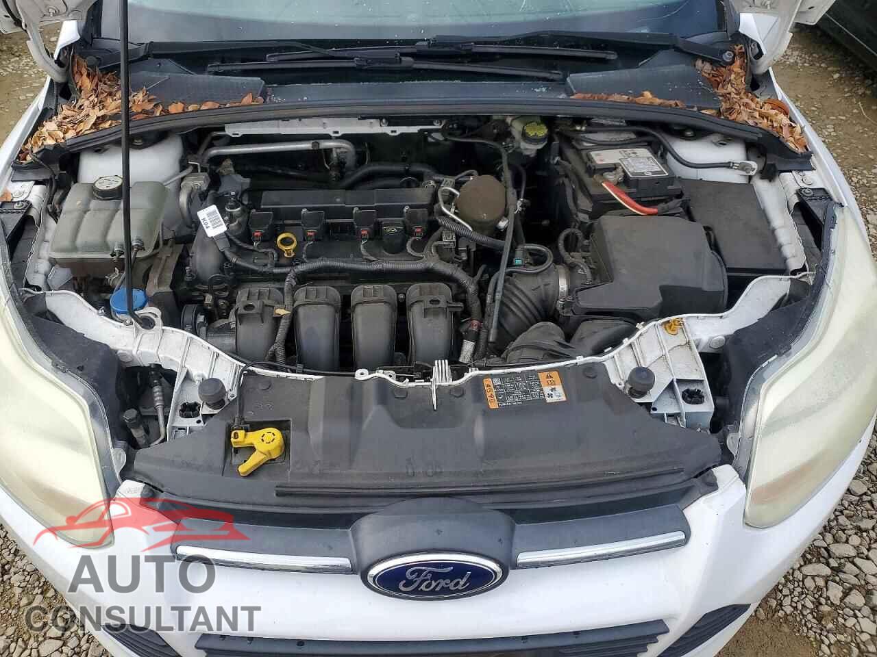 FORD FOCUS 2014 - 1FADP3K22EL420996