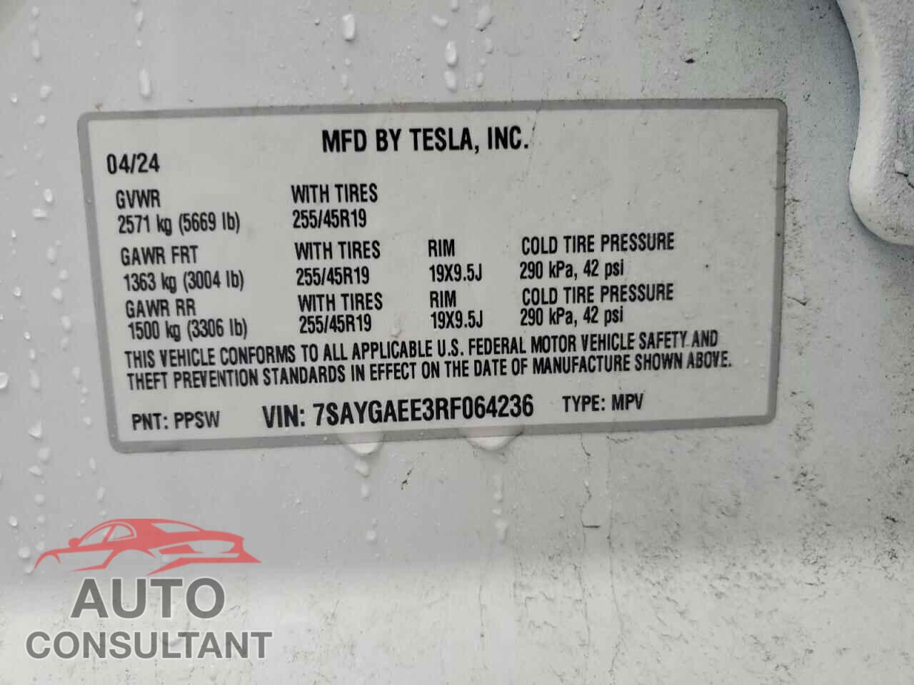 TESLA MODEL Y 2024 - 7SAYGAEE3RF064236