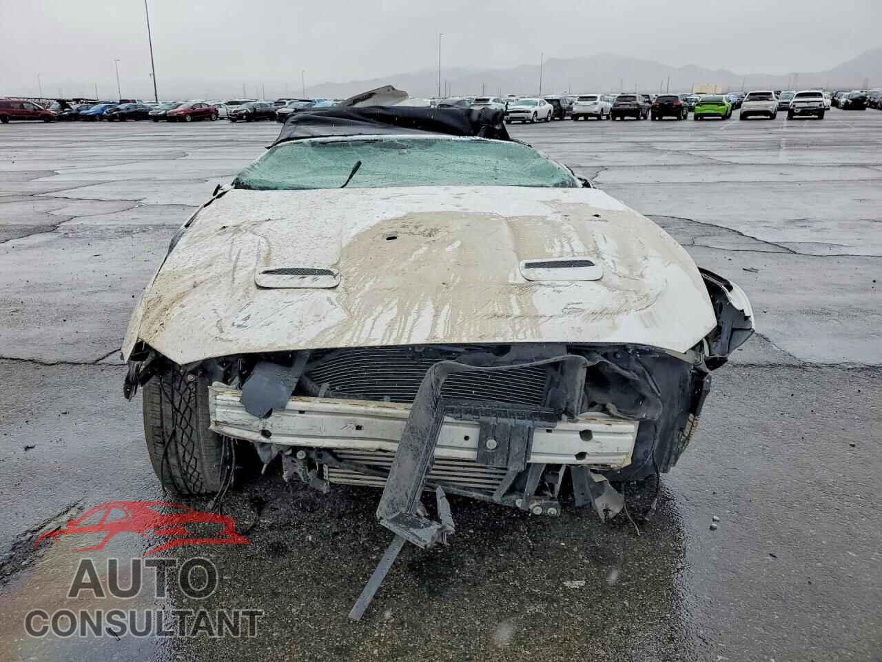 FORD ALL Models 2019 - 1FATP8UH6K5170995