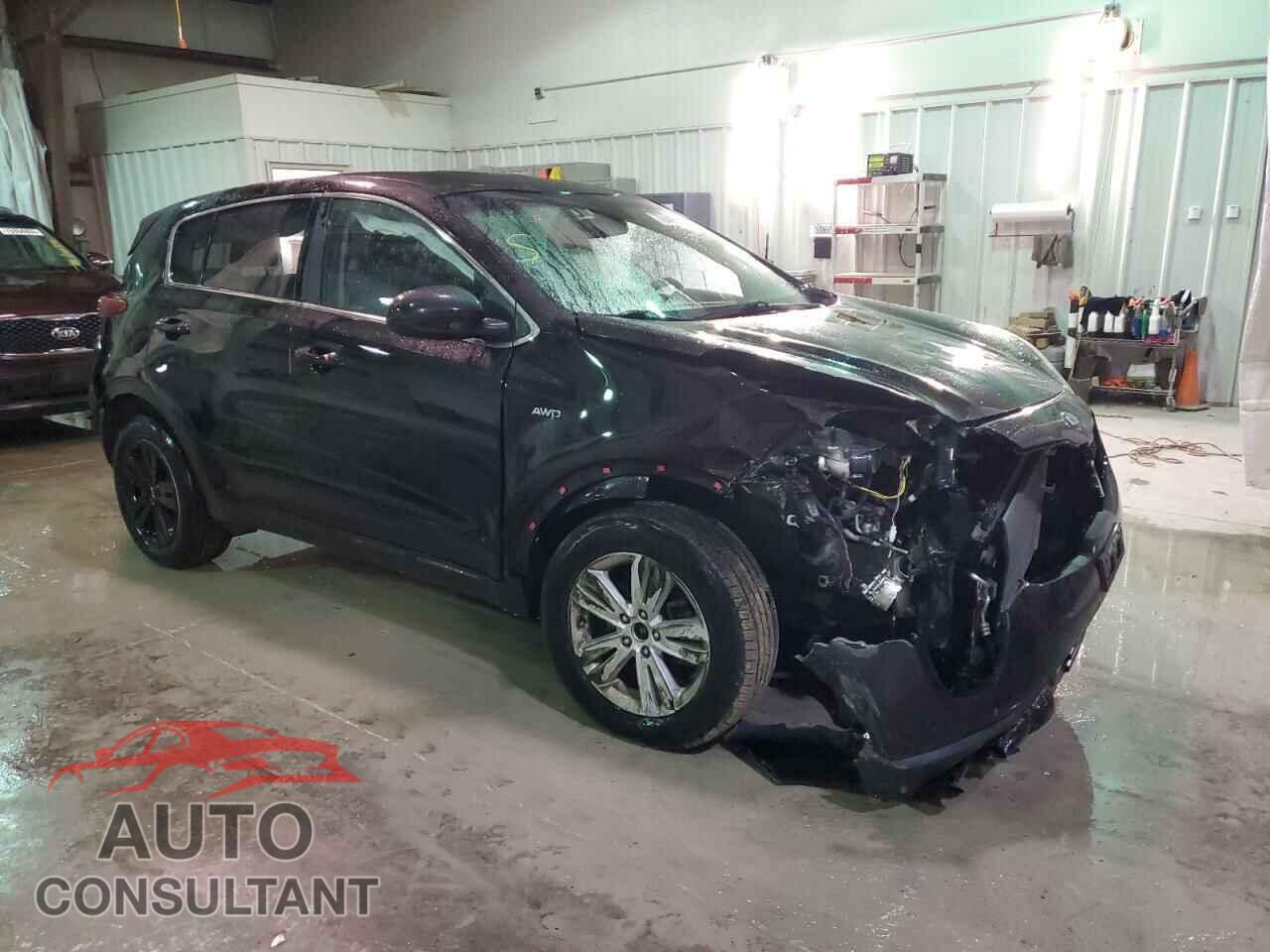KIA SPORTAGE 2017 - KNDPMCAC9H7247467
