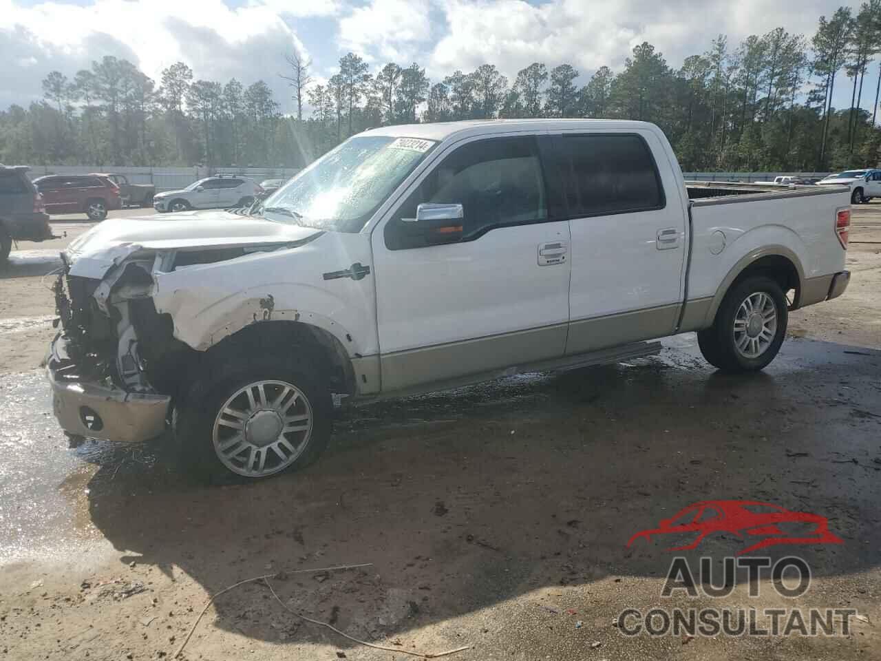 FORD F-150 2010 - 1FTFW1CV4AKE12983