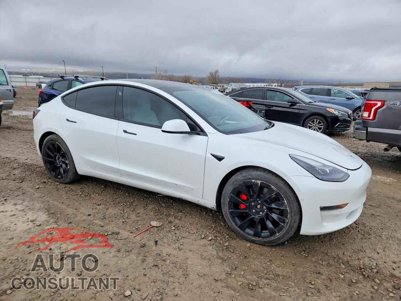 TESLA MODEL 3 2021 - 5YJ3E1ECXMF044831