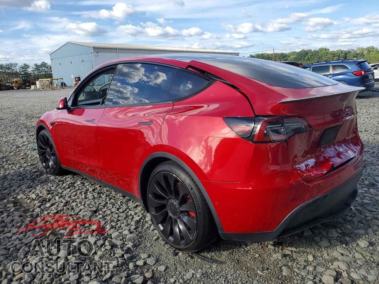 TESLA MODEL Y 2022 - 7SAYGDEF2NF564697