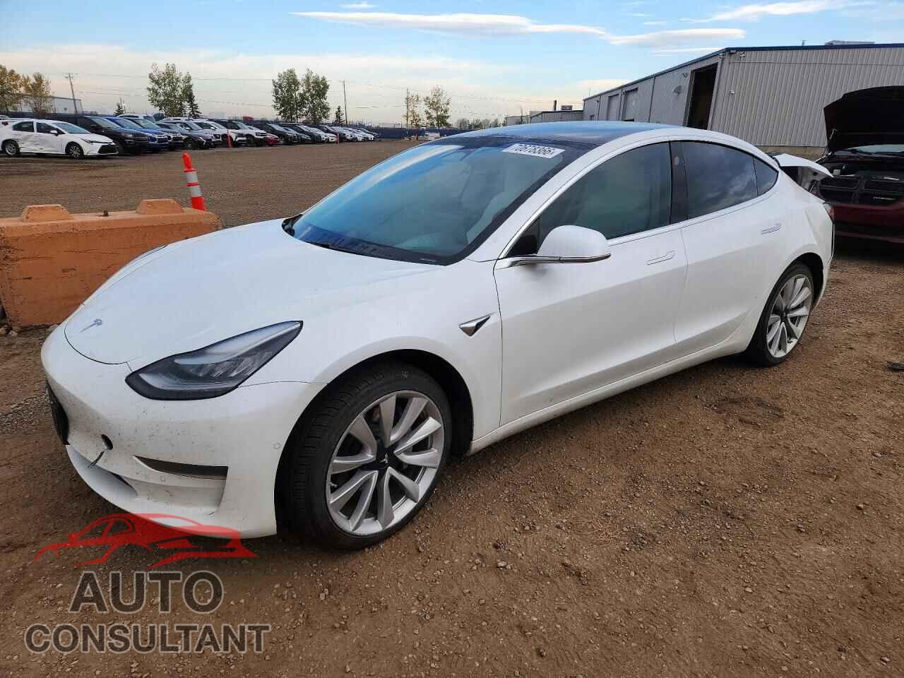 TESLA MODEL 3 2020 - 5YJ3E1EA4LF731929