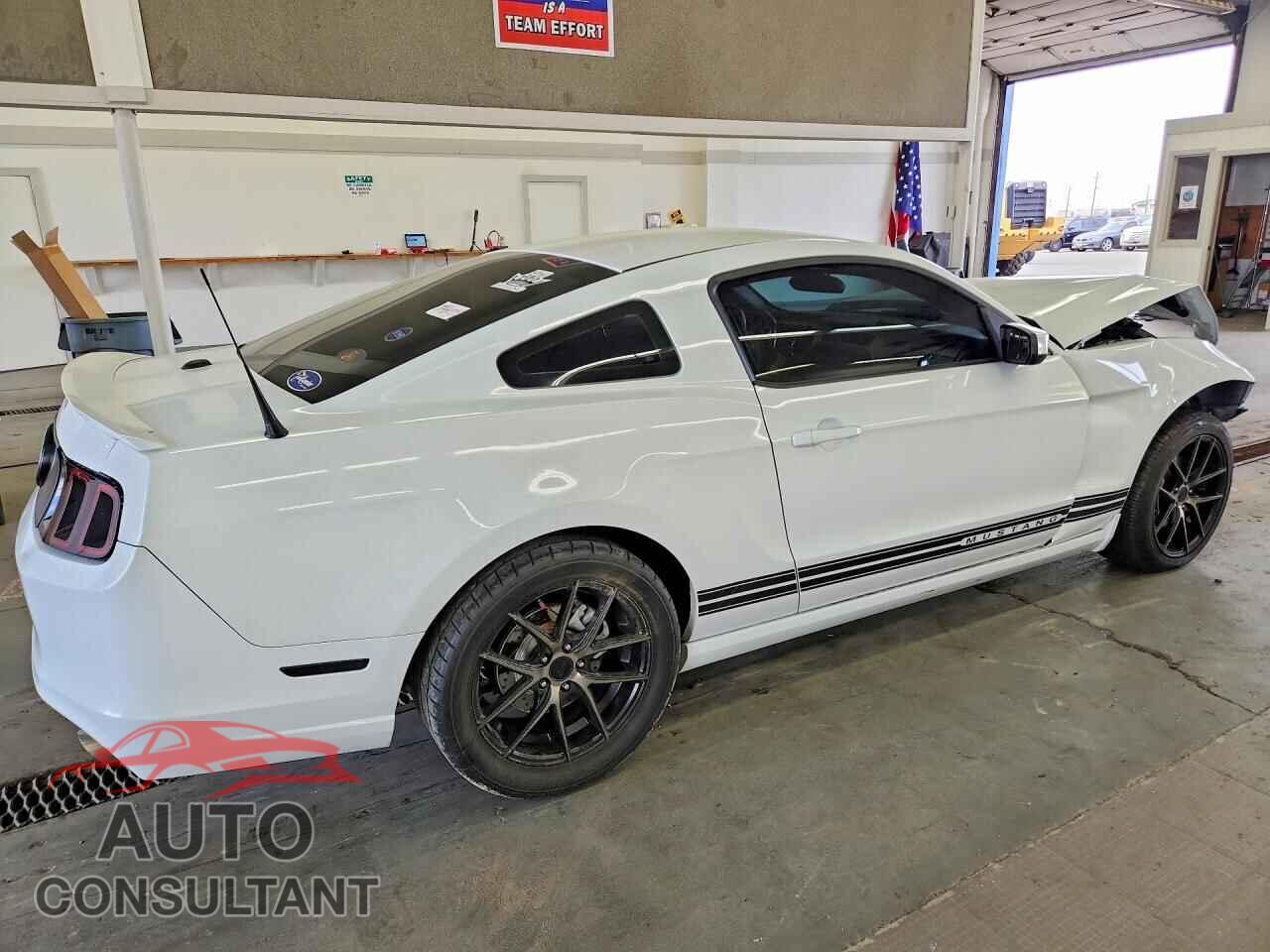 FORD MUSTANG 2014 - 1ZVBP8AM0E5292695