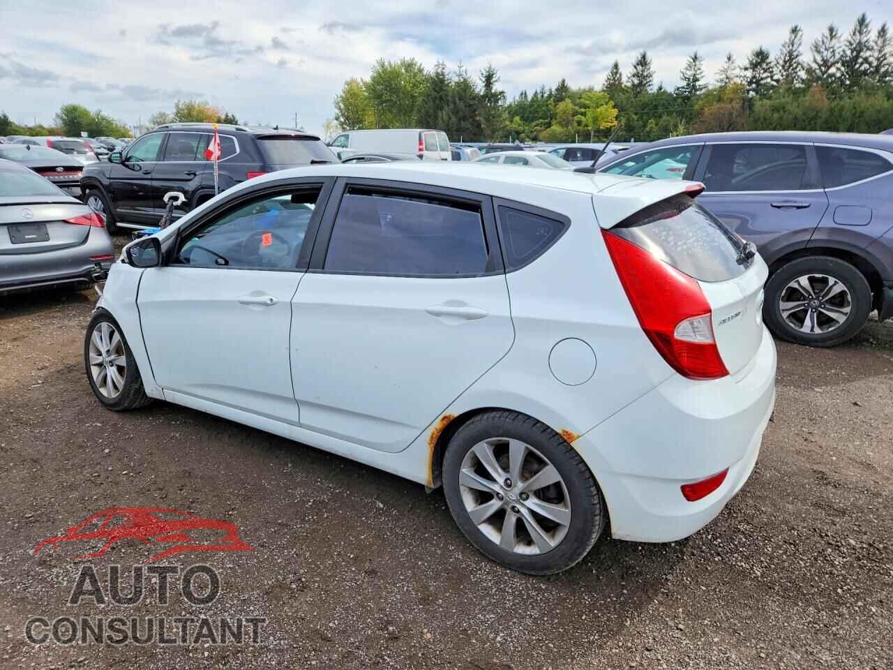 HYUNDAI ACCENT 2014 - KMHCU5AE5EU196571
