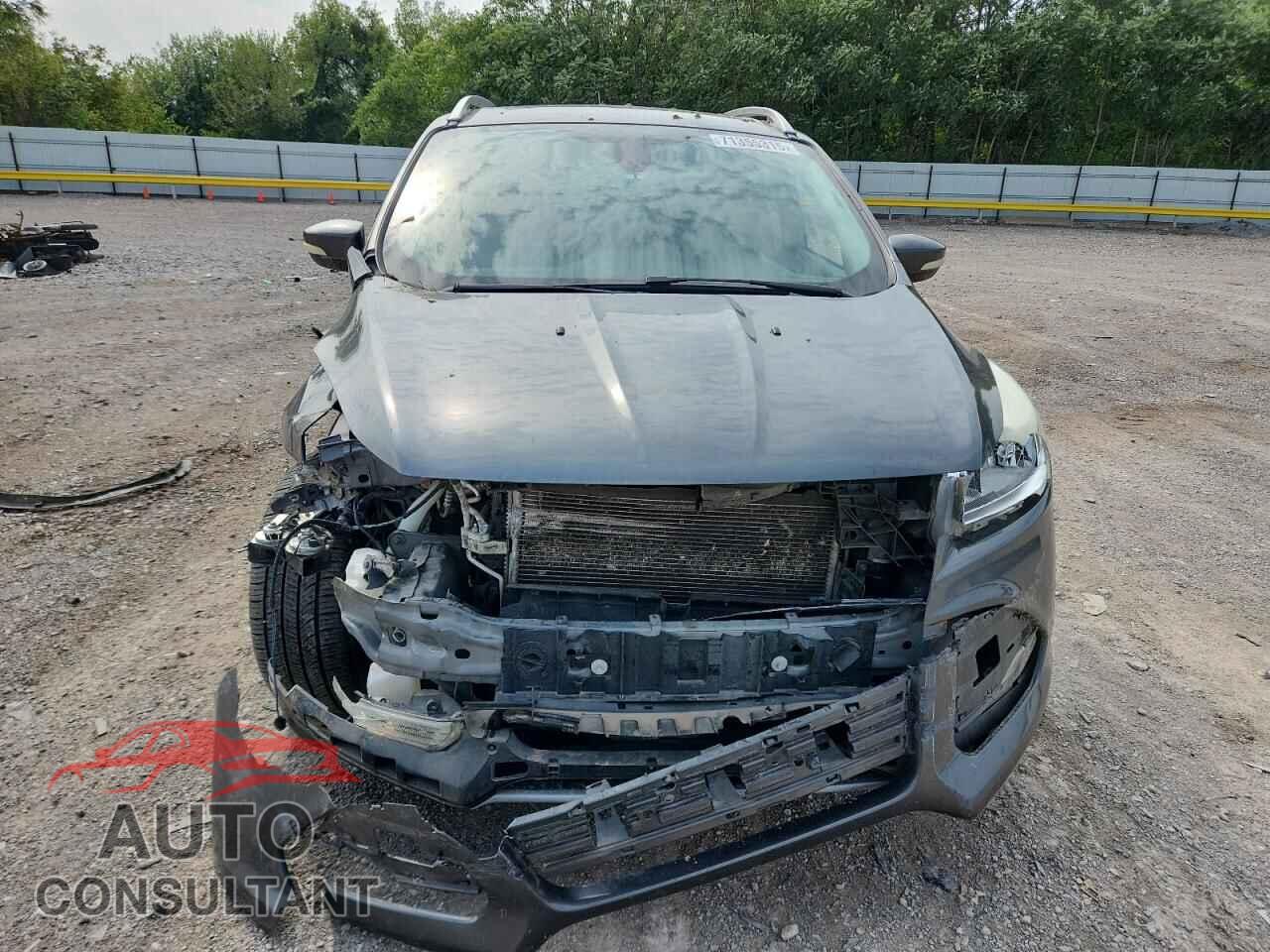 FORD ESCAPE 2015 - 1FMCU0J96FUB61156