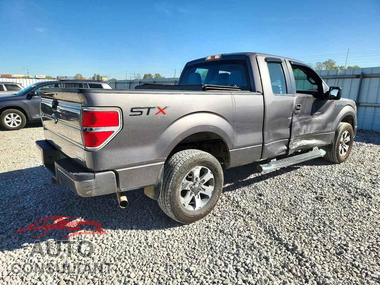 FORD F150 2014 - 1FTFX1EF7EFC81842