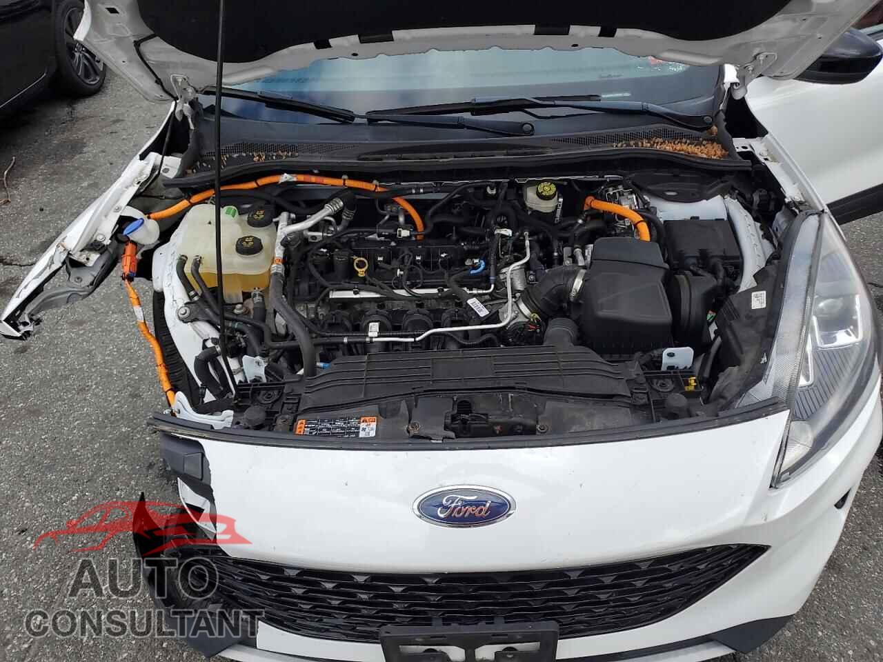 FORD ESCAPE 2020 - 1FMCU9BZ8LUA80383