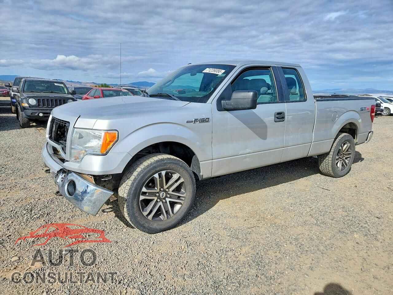 FORD F150 2013 - 1FTEX1EM2DFC81384