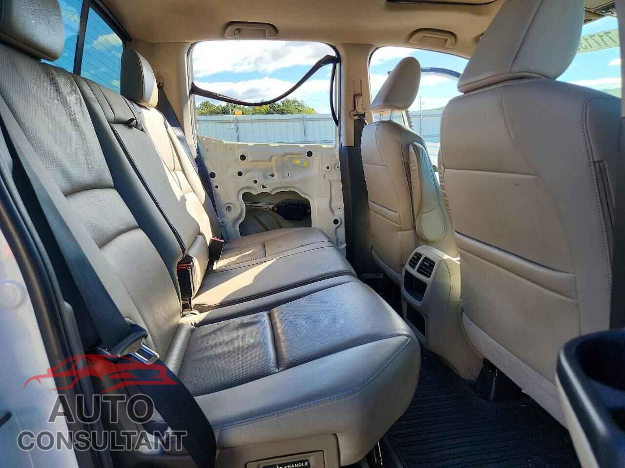 HONDA RIDGELINE 2019 - 5FPYK3F65KB011808