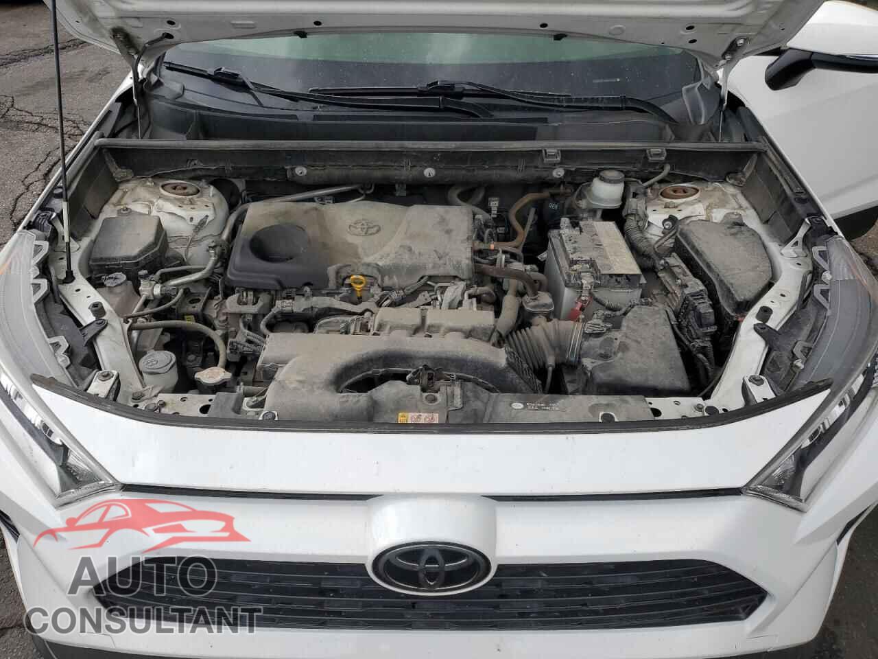 TOYOTA RAV4 2019 - JTMP1RFVXKD024725